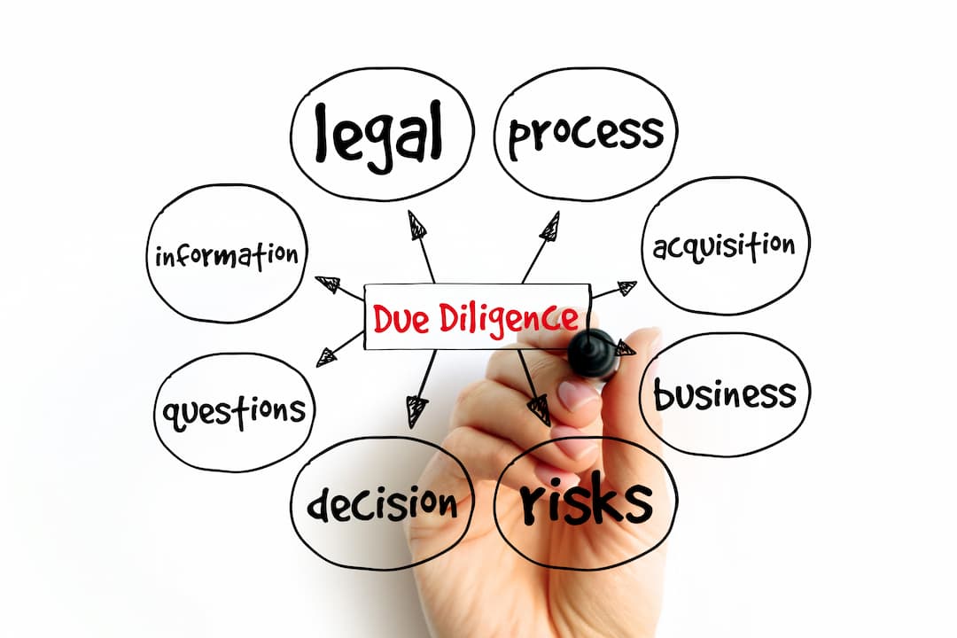 Due Diligence Services for AI Investors, VCs, PEs